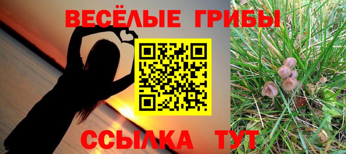 Галлюциногенные грибы прущие грибы Калуга